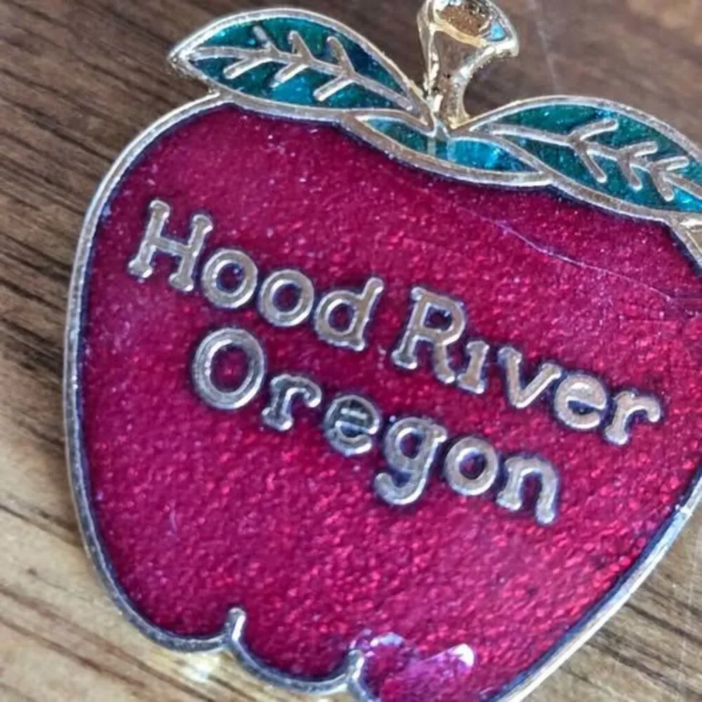 Vintage Hood River Oregon Red Apple Souvenir Brooch Pin Gold Tone Enamel